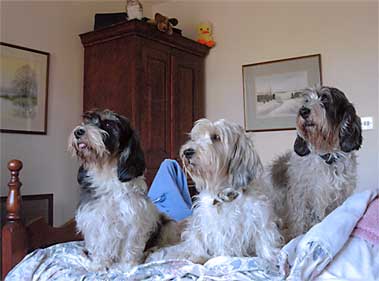 Wilson, Dilys & Florence. "Three in a bed" at Lincolnshire.